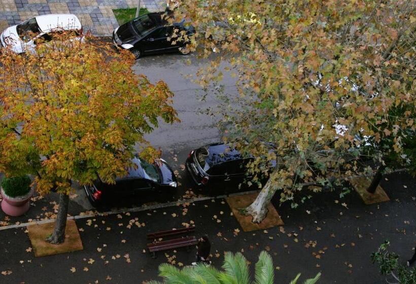 Отель Ajaccio  Albion