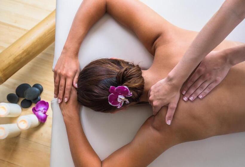 Отель Alliance Pornic Hôtel Thalasso & Spa