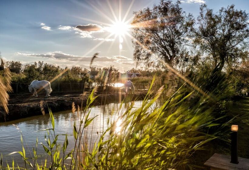 فندق Les Bains Gardians
