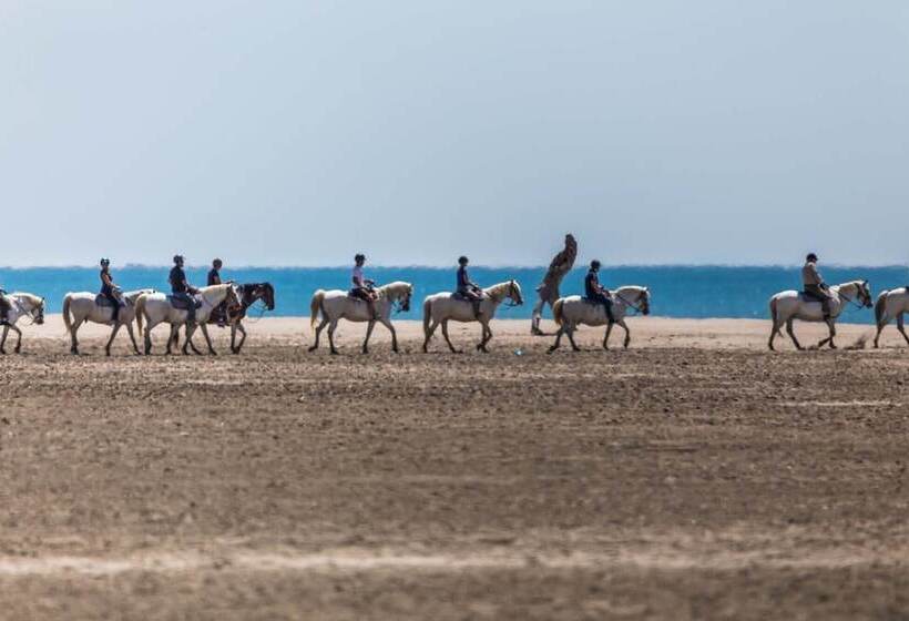 فندق Les Bains Gardians