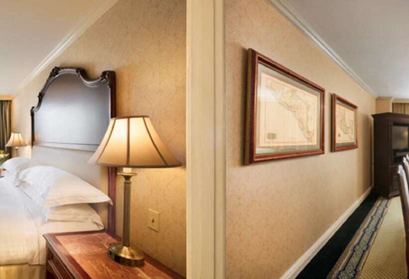 호텔 Barcelo San Salvador