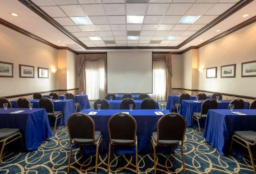 호텔 Barcelo San Salvador