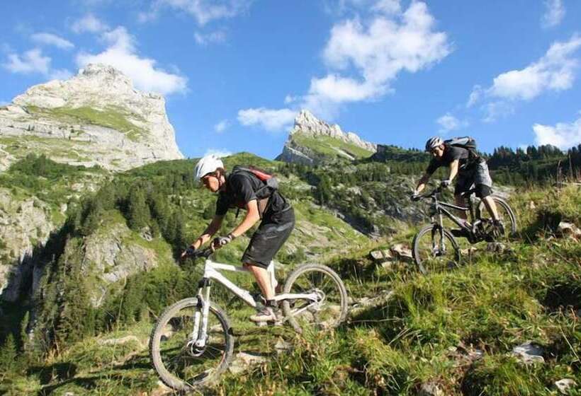 فندق Best Western Chalet Les Saytels