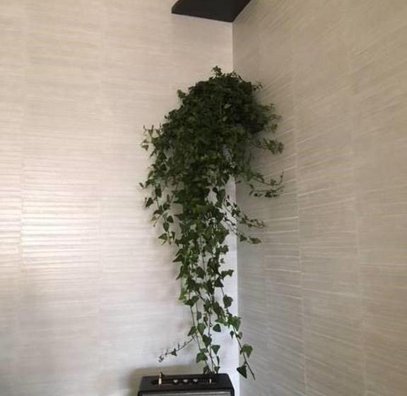 בית מלון כפרי Cannes Centre Univers