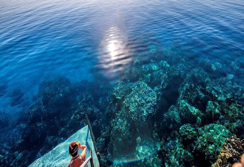 호텔 Concorde El Salam Sharm El Sheikh Front