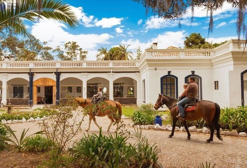 ホテル Hostería Hacienda Pinsaqui