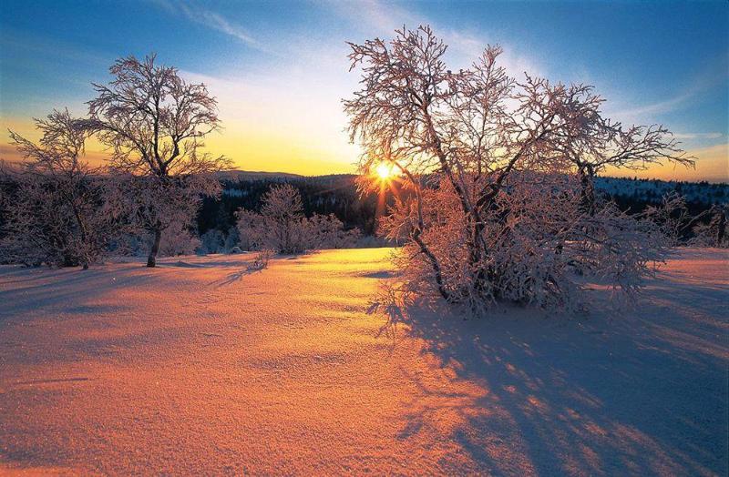 Kultahippu Hotel & Apartments