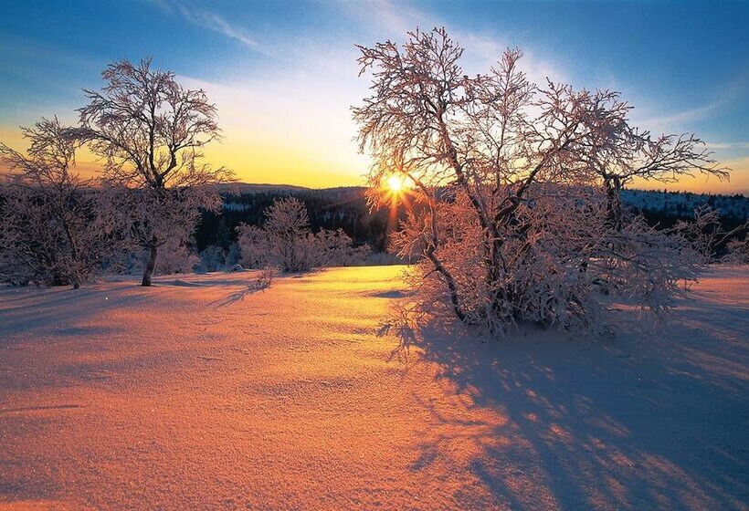 Kultahippu Hotel & Apartments