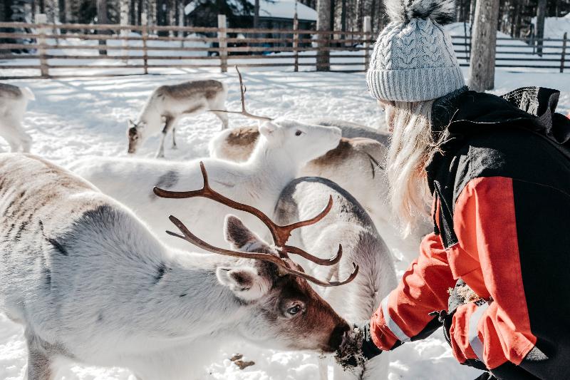 Lapland Hotels äkäshotelli