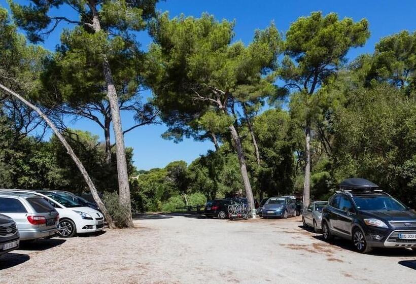 Отель Provençal