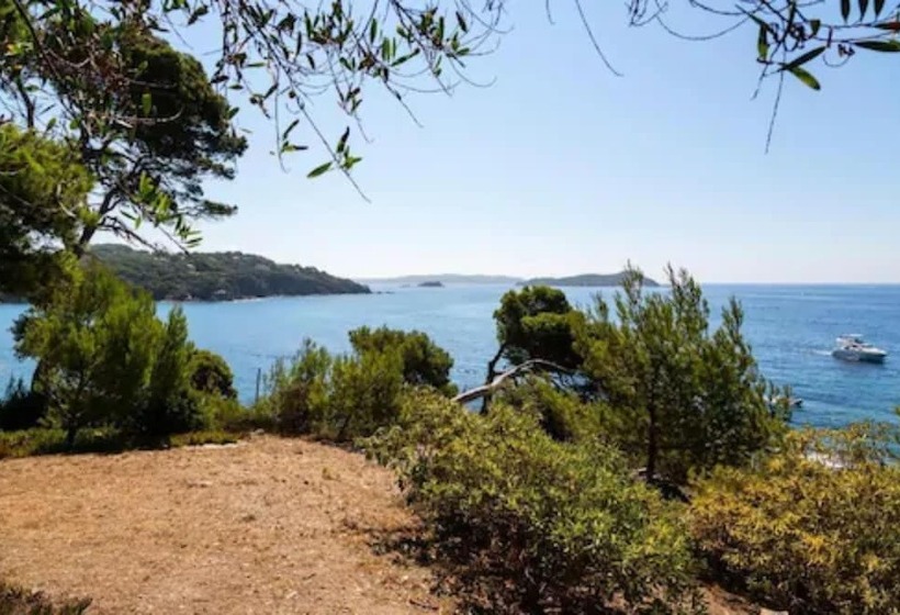 Отель Provençal