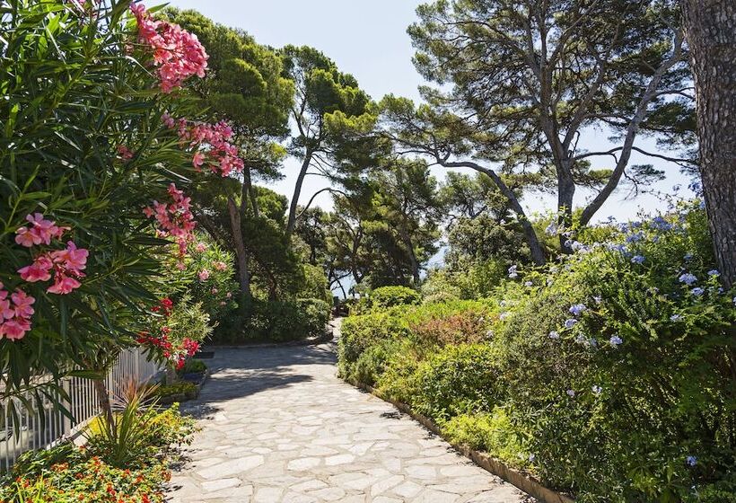 Отель Provençal