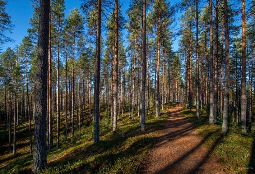 בית מלון כפרי Mesikammen