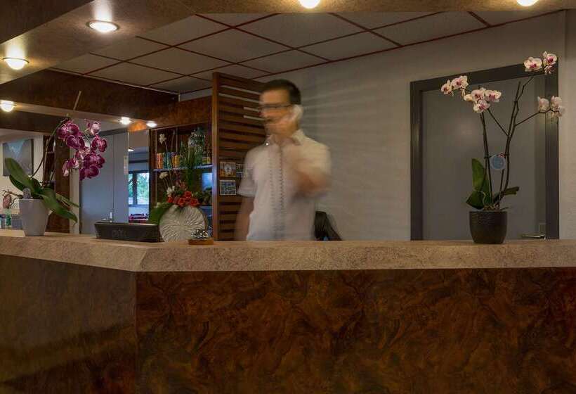 فندق The Originals City, Hôtel Amys, Tarbes Sud