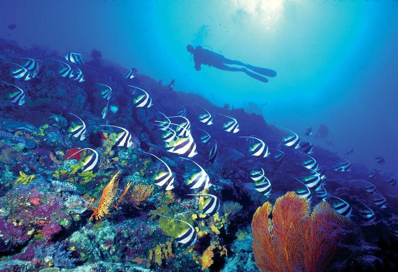 The Westin Fiji Golf Resort & Spa