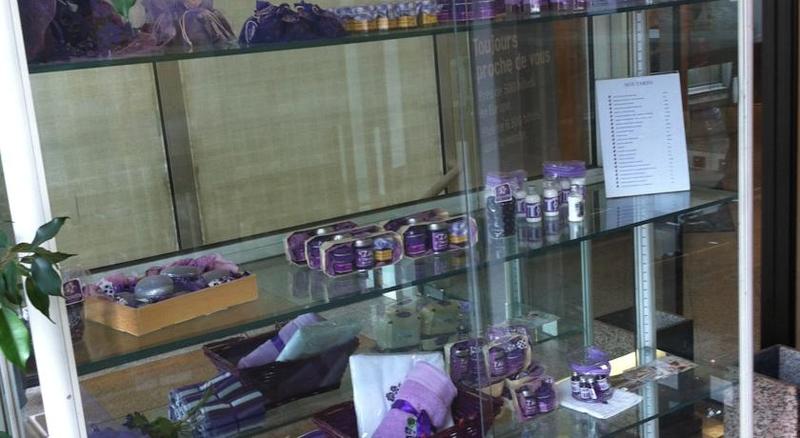 Comfort Hotel Toulouse Sud