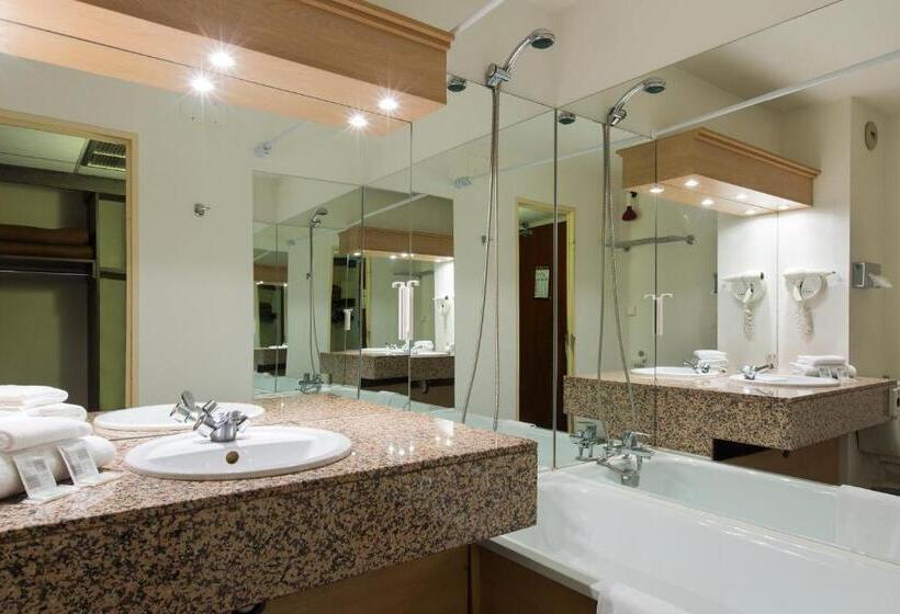 Comfort Hotel Toulouse Sud