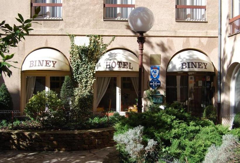 호텔 Biney