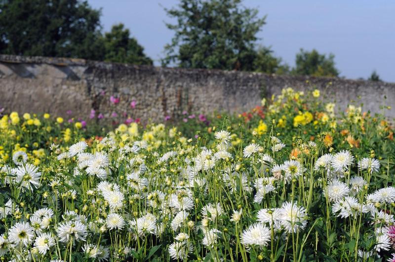 ホテル Chateau De La Bourdaisiere