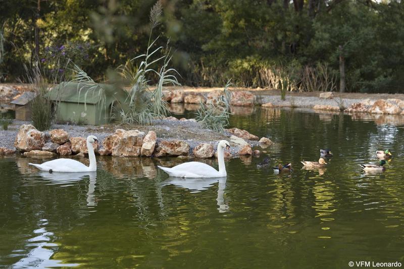 호텔 Airelles Château De La Messardière