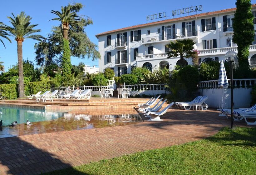 فندق Des Mimosas