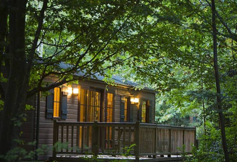 בית מלון כפרי Disney Davy Crockett Ranch