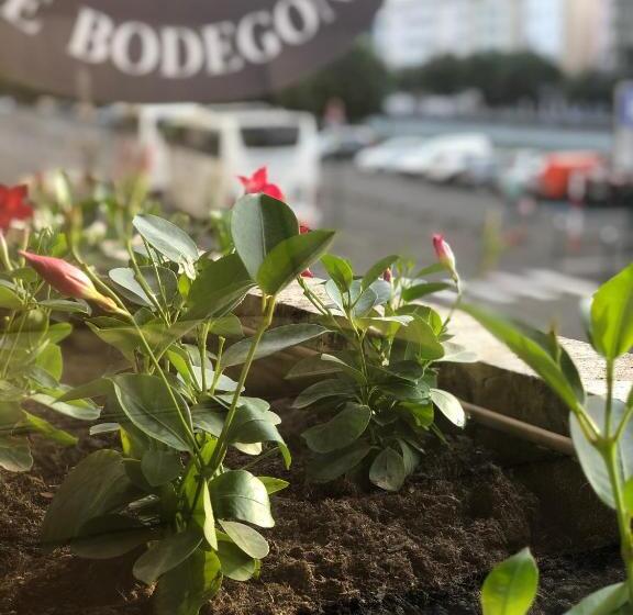 هتل Grand Hôtel D Espagne