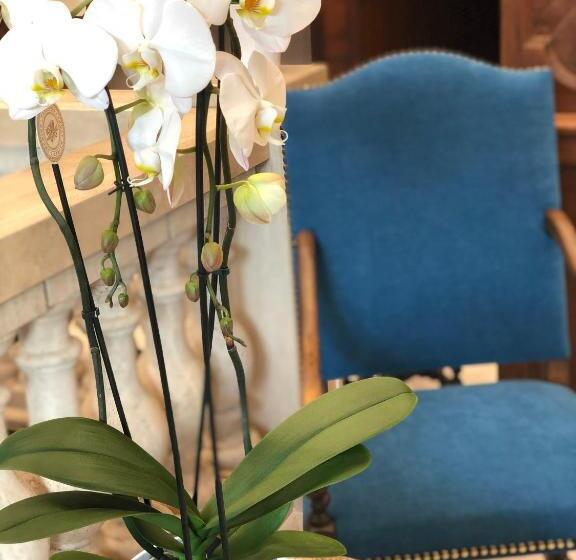 هتل Grand Hôtel D Espagne