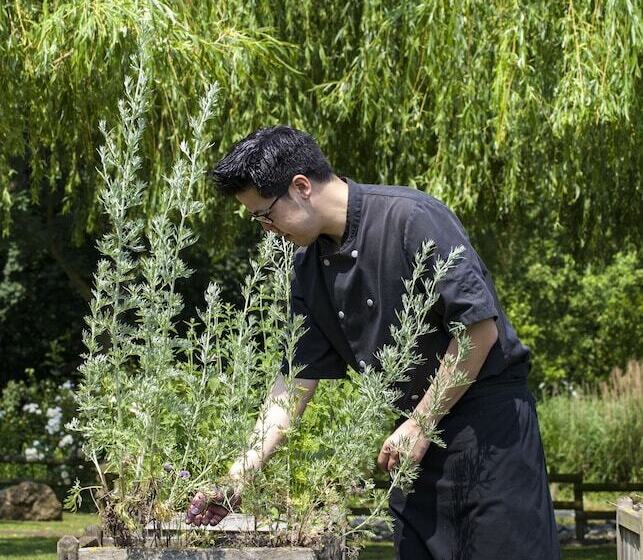 Sure Hotel By Best Western Lille Tourcoing Ex Hotel Garden