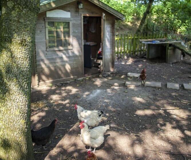 Sure Hotel By Best Western Lille Tourcoing Ex Hotel Garden