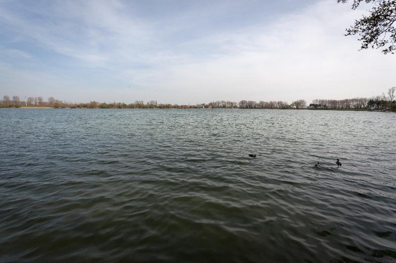 Best Western Hotel Du Lac Dunkerque  Restaurant Ouvert 7/7 Midi Et Soir