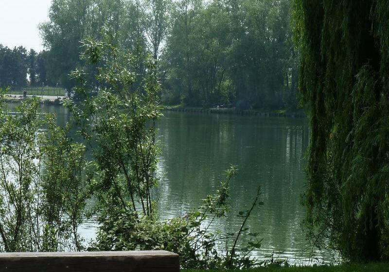 Best Western Hotel Du Lac Dunkerque  Restaurant Ouvert 7/7 Midi Et Soir