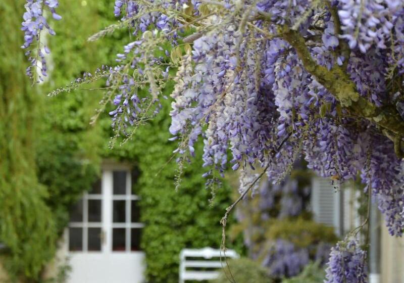 ホテル Chateau La Cheneviere