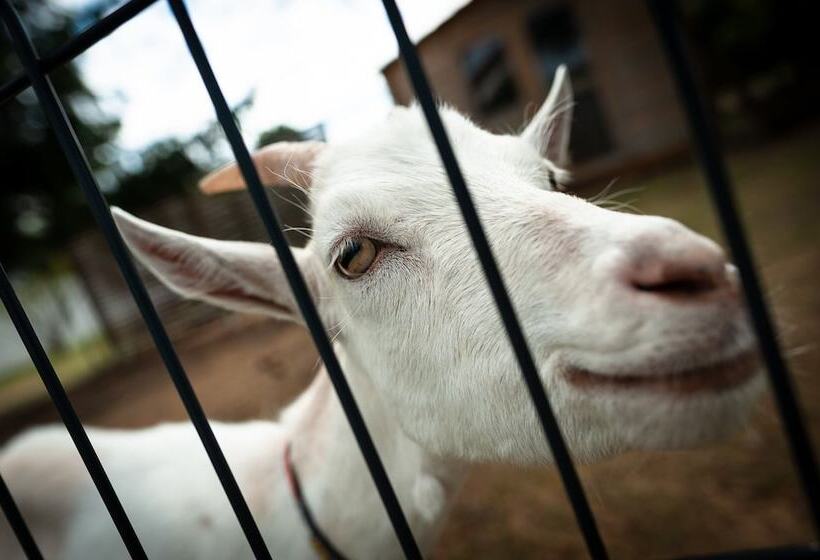 هتل Ermitage De Corton   Teritoria