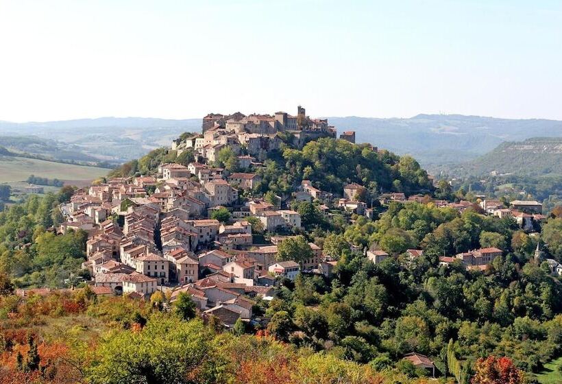 Отель Hôtel Du Vigan