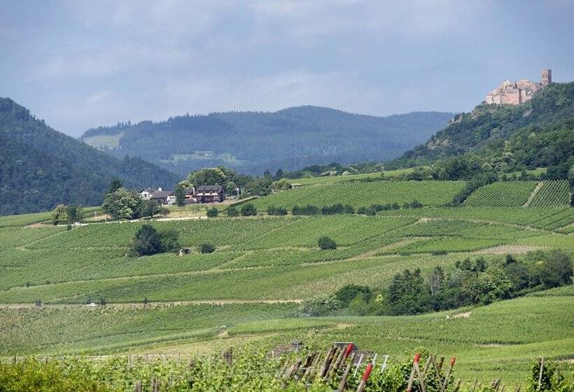 בית מלון כפרי Le Clos Saint Vincent