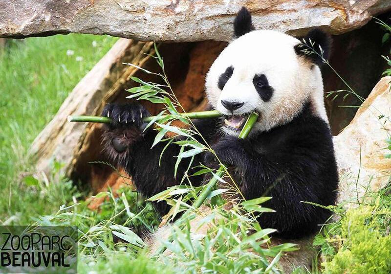 فندق Mercure Tours Sud