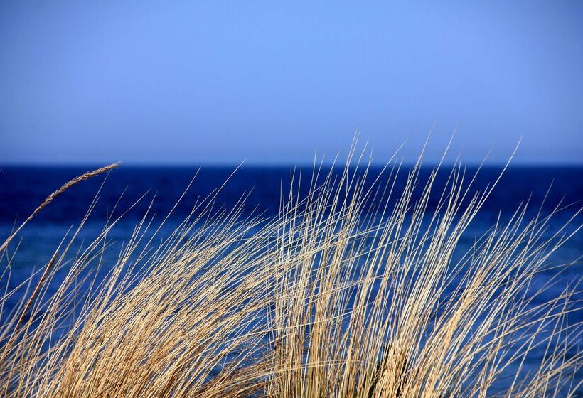 Отель The Originals Boutique, Hôtel Neptune, Bercksurmer