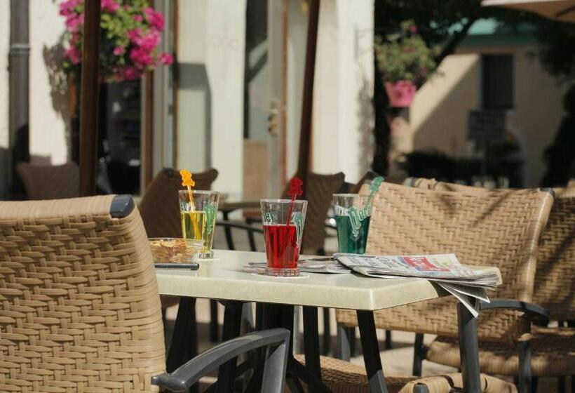 בית מלון כפרי Hôtel De Genève Et Restaurant , Faverges Seythenex