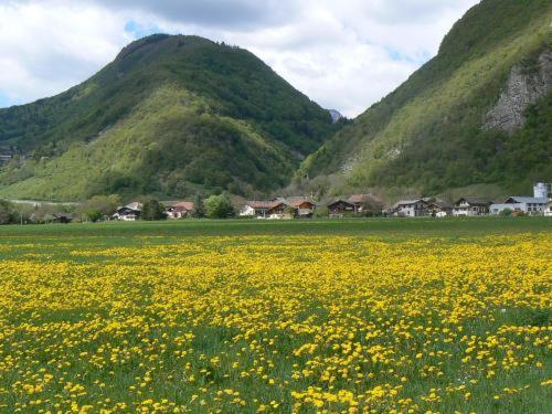 בית מלון כפרי Hôtel De Genève Et Restaurant , Faverges Seythenex