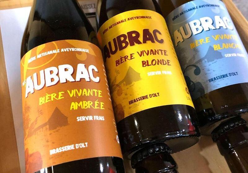 فندق Ibis Rodez Centre