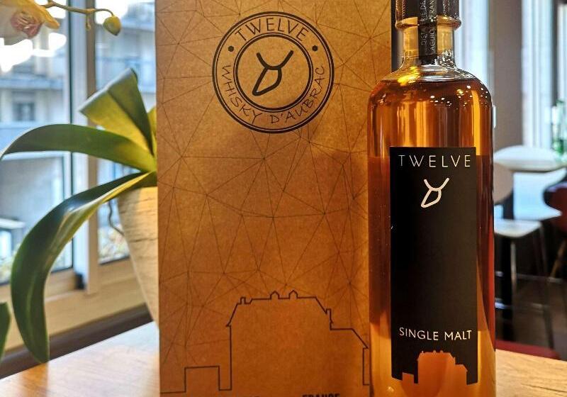 فندق Ibis Rodez Centre