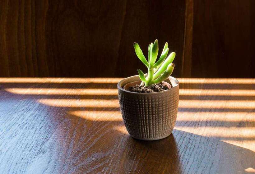 فندق Mercure Paris Nanterre