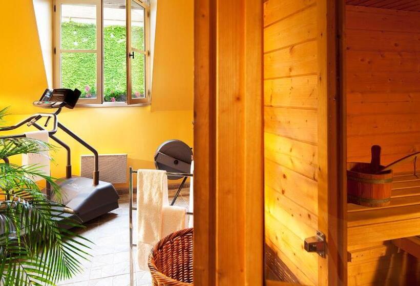 Отель Le Manoir De Gressy