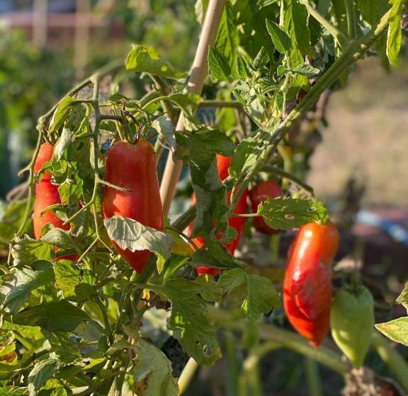 בית מלון כפרי Le Manoir De L étang