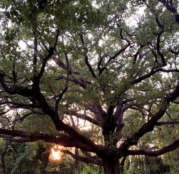 בית מלון כפרי Le Manoir De L étang