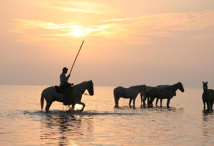 酒店 Les Rizières