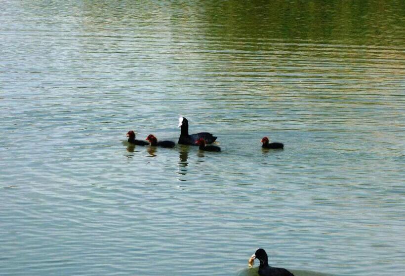 酒店 Les Rizières