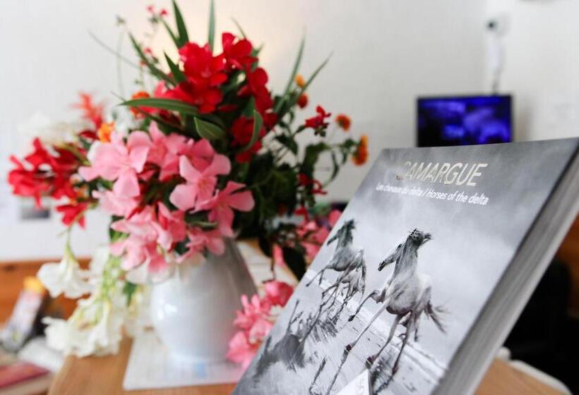 酒店 Les Rizières