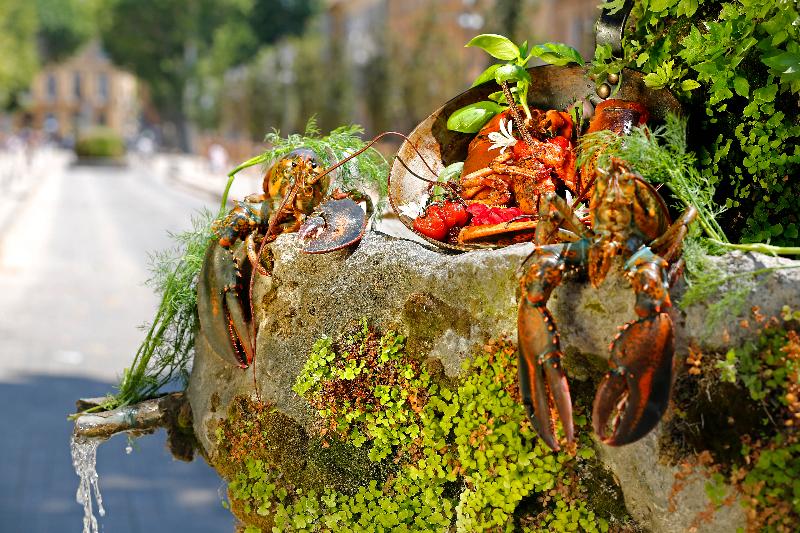 בית מלון כפרי Negrecoste Hôtel & Spa